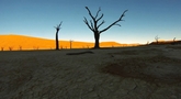Намиб (Namib Desert - Africa)